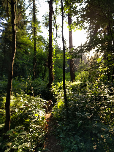 Park «Northacres Park», reviews and photos, 12718 1st Ave NE, Seattle, WA 98125, USA