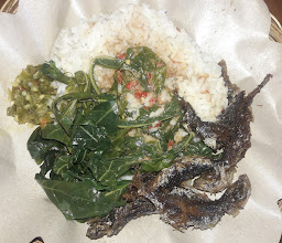 Warung Padang Sederhana photo
