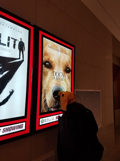 Movie Theater «Regal Cinemas Springfield Town Center 12», reviews and photos, 6859 Springfield Mall, Springfield, VA 22150, USA