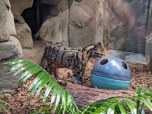 Aquarium «Loveland Living Planet Aquarium», reviews and photos, 12033 Lone Peak Pkwy, Draper, UT 84020, USA