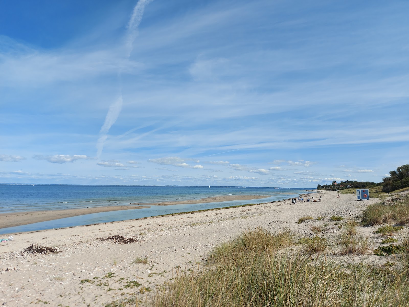 Foto di Dronningmolle Beach con una superficie del sabbia beige