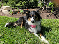 FROM MY HOUSE TO YOURS - Photo 3 - Car repair in , Elgin