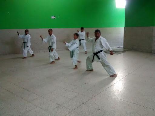 Karate-Do Genki-Juku Budib
