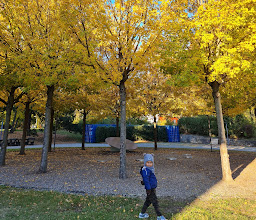 Grüneburg park photo