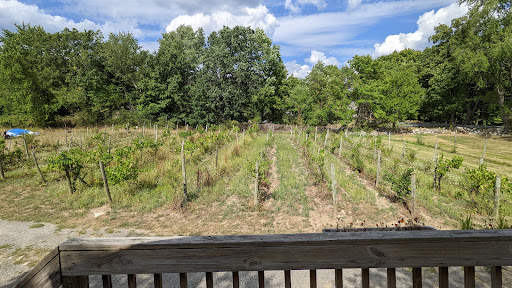 Vineyard «Brimstone Hill Vineyard», reviews and photos, 61 Brimstone Hill Rd, Pine Bush, NY 12566, USA