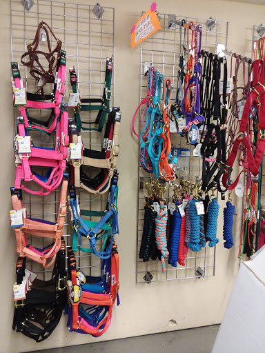 Pet Supply Store «Silva Ranches Feed Store», reviews and photos, 12310 Santa Teresa Blvd, San Martin, CA 95046, USA