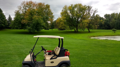 Golf Course «Pine Hills Golf Course», reviews and photos, 6603 Woodbury Rd, Laingsburg, MI 48848, USA