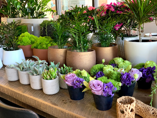 Florist «Red Square Flowers», reviews and photos, 337 W Mifflin St, Madison, WI 53703, USA