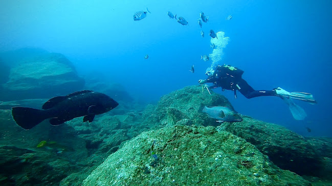 Mero Diving Center