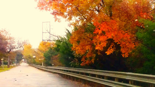 Park «California Crossing Park», reviews and photos, 5198 Riverside Dr, Irving, TX 75039, USA