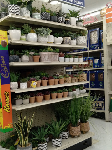 Discount Store «Big Lots», reviews and photos, 1986 Freedom Blvd, Watsonville, CA 95076, USA