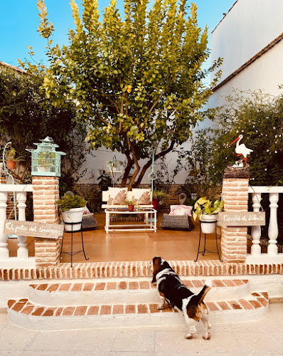 El Patio del Limonero