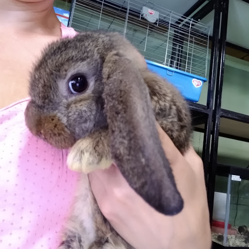 Pet Store «Gills And Thrills Pet Shop», reviews and photos, 204 E 8th St, Lockport, IL 60441, USA