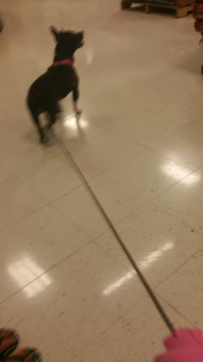 Pet Supply Store «PetSmart», reviews and photos, 13927 New Halls Ferry Road, Florissant, MO 63033, USA