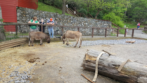 Zoo «Friends of WNC Nature Center», reviews and photos, 72 Gashes Creek Rd, Asheville, NC 28805, USA