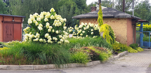 FUTURE GARDENS Burdziałowska Spółka jawna