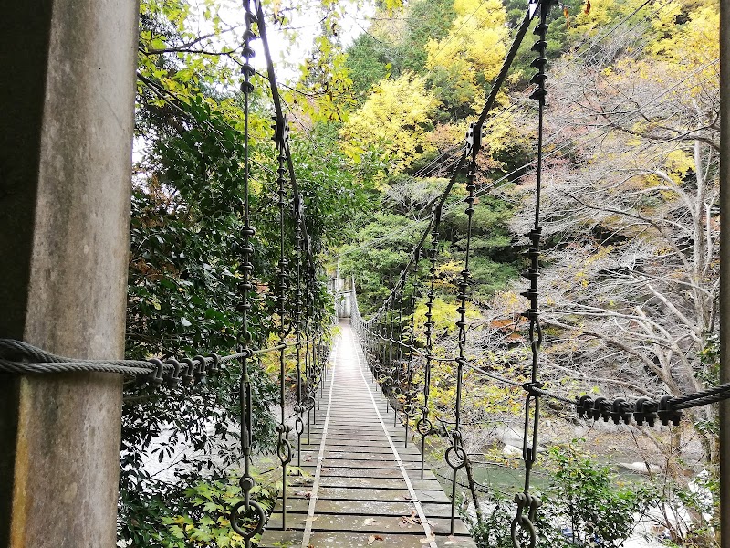 茨川林道の吊橋1