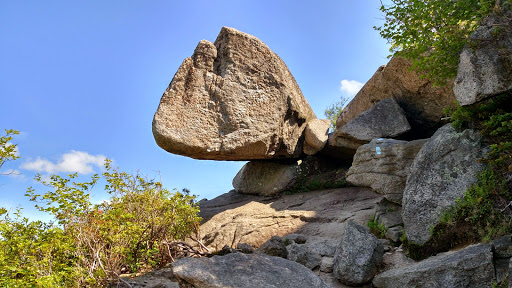 National Park «Shenandoah National Park», reviews and photos