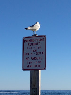Kennebunk Beach Improvement Association - photo 14