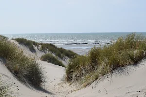 Sentier d'accès à mer, Randonnée les Crocs autour du Marquenterre image