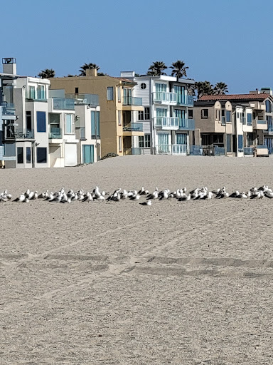 Oxnard Shores Mobile Home Park