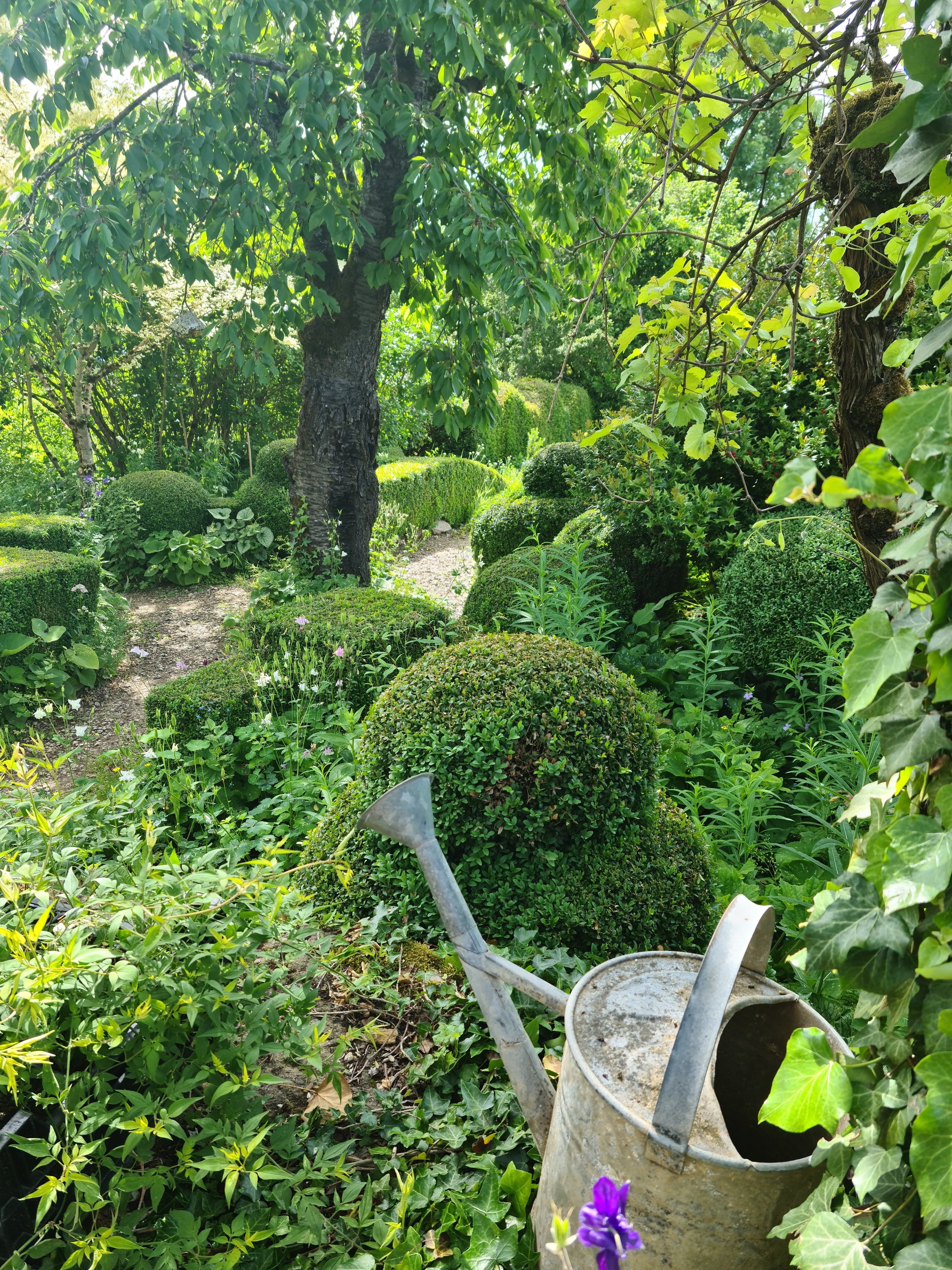 Photo n° 2 de l'avis de SANDRINE.O fait le 12/06/2021 à 22:24