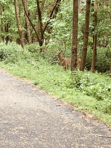 Golf Course «RiverWinds Golf & Tennis Club», reviews and photos, 270 Eagle Point Rd, West Deptford, NJ 08086, USA