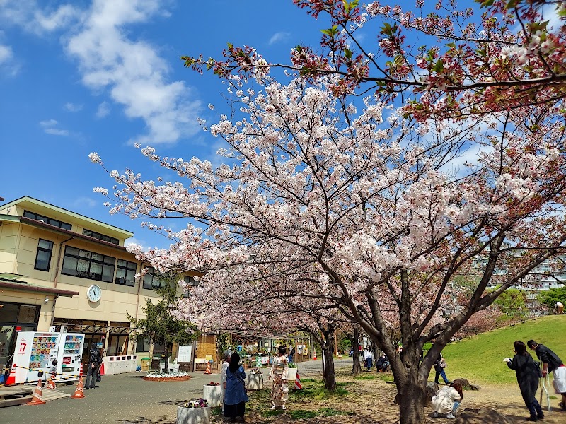 若潮公園