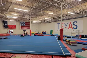 Texas Gymnastics image