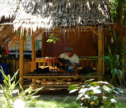 Wild Flowers Hostel photo