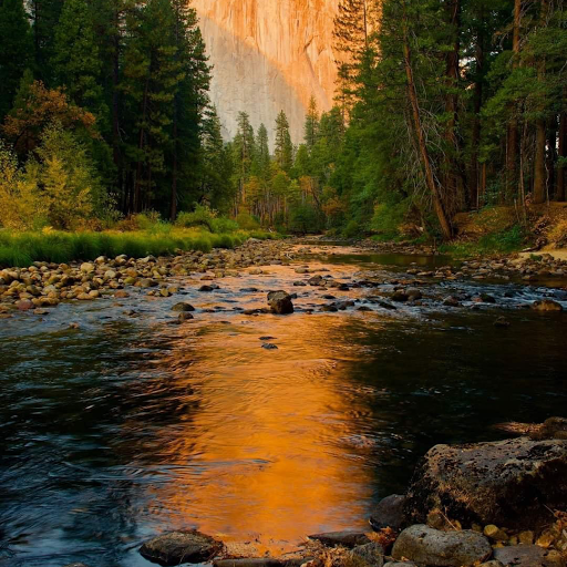 Hair Salon «V.I.P. Salon & Spa», reviews and photos, 15580 King Rd, Riverview, MI 48193, USA