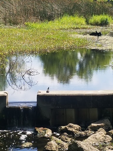 Park «Hammock Park», reviews and photos, 1945 San Mateo Dr, Dunedin, FL 34698, USA