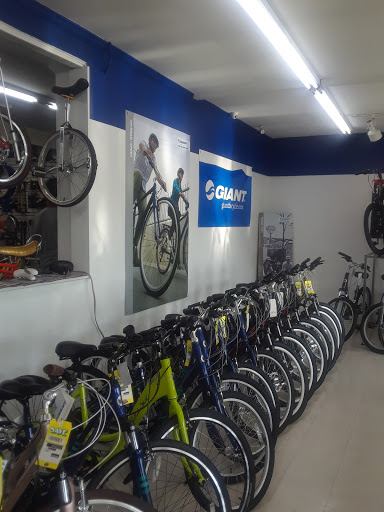 Bicycle Store «Ace Bicycle Shop», reviews and photos, 2500 S MacArthur Blvd, Springfield, IL 62704, USA