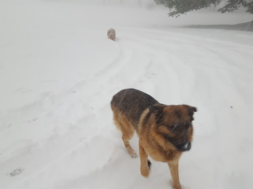 Park «Shades Beach Park», reviews and photos, 7000 E Lake Rd, Erie, PA 16511, USA