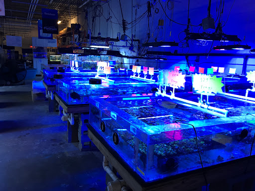 Tropical Fish Store «The Fish Store», reviews and photos, 2050 Chamblee Tucker Rd, Chamblee, GA 30341, USA