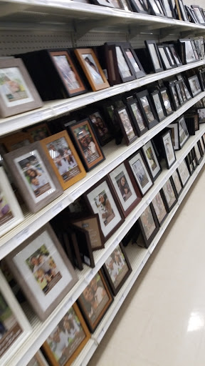 Craft Store «Michaels», reviews and photos, 3701 W Hillsboro Blvd b, Deerfield Beach, FL 33442, USA