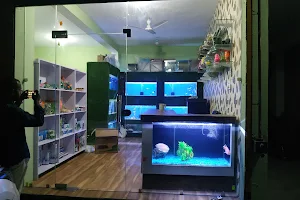 Rehoboth aquarium & home decor image