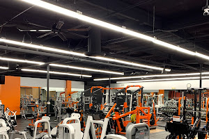 Muscle Factory Gym
