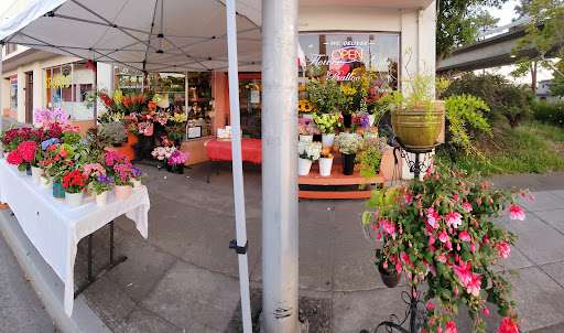Florist «La Vie En Rose Flowers», reviews and photos, 1272 Solano Ave, Albany, CA 94706, USA