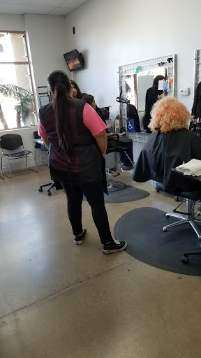 Hair Stylist School/Olympus Beauty Academy/#1 School In Arizona