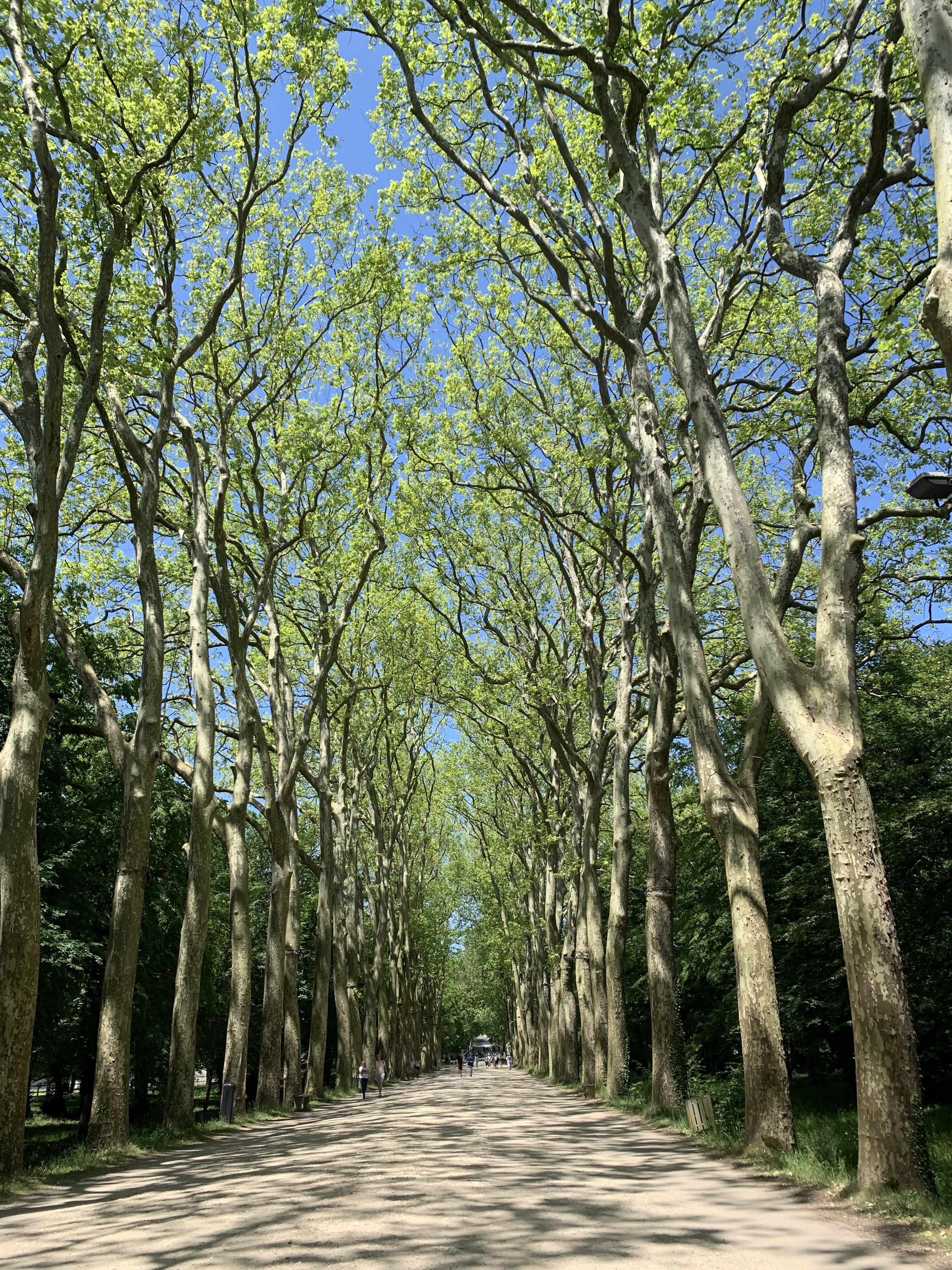 Photo n° 14 de l'avis de R.e fait le 03/06/2023 à 15:52