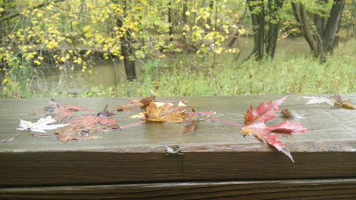 Nature Preserve «For-Mar Nature Preserve & Arboretum», reviews and photos, 2142 N Genesee Rd, Burton, MI 48509, USA