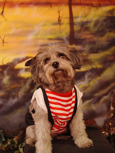 Tourist Attraction «Witch Pix», reviews and photos, 172 Essex St, Salem, MA 01970, USA