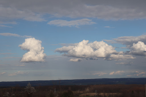 Department Store «Walmart Supercenter», reviews and photos, 4235 Veteran Dr, Geneseo, NY 14454, USA