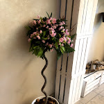 Photo n°10 de l'avis de LILIANA.A fait le 17/06/2020 à 20:18 sur le  Tonallo - Pizza Restaurant à Cisano Bergamasco