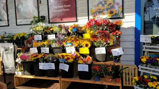 Grocery Store «Whole Foods Market», reviews and photos, 405 Pacific Coast Hwy, Redondo Beach, CA 90277, USA