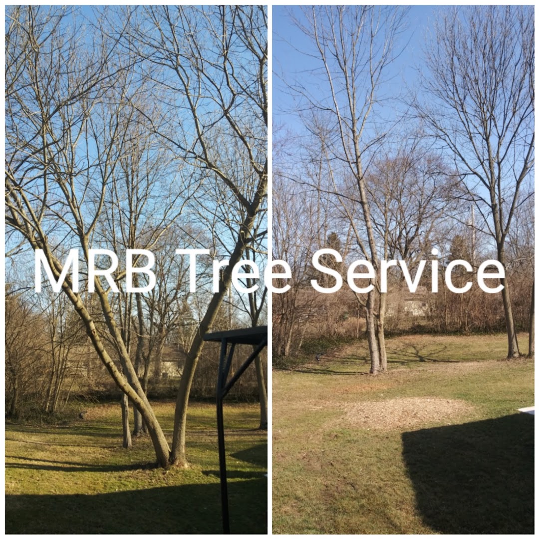 MRB Tree Service - Beavercreek, OH