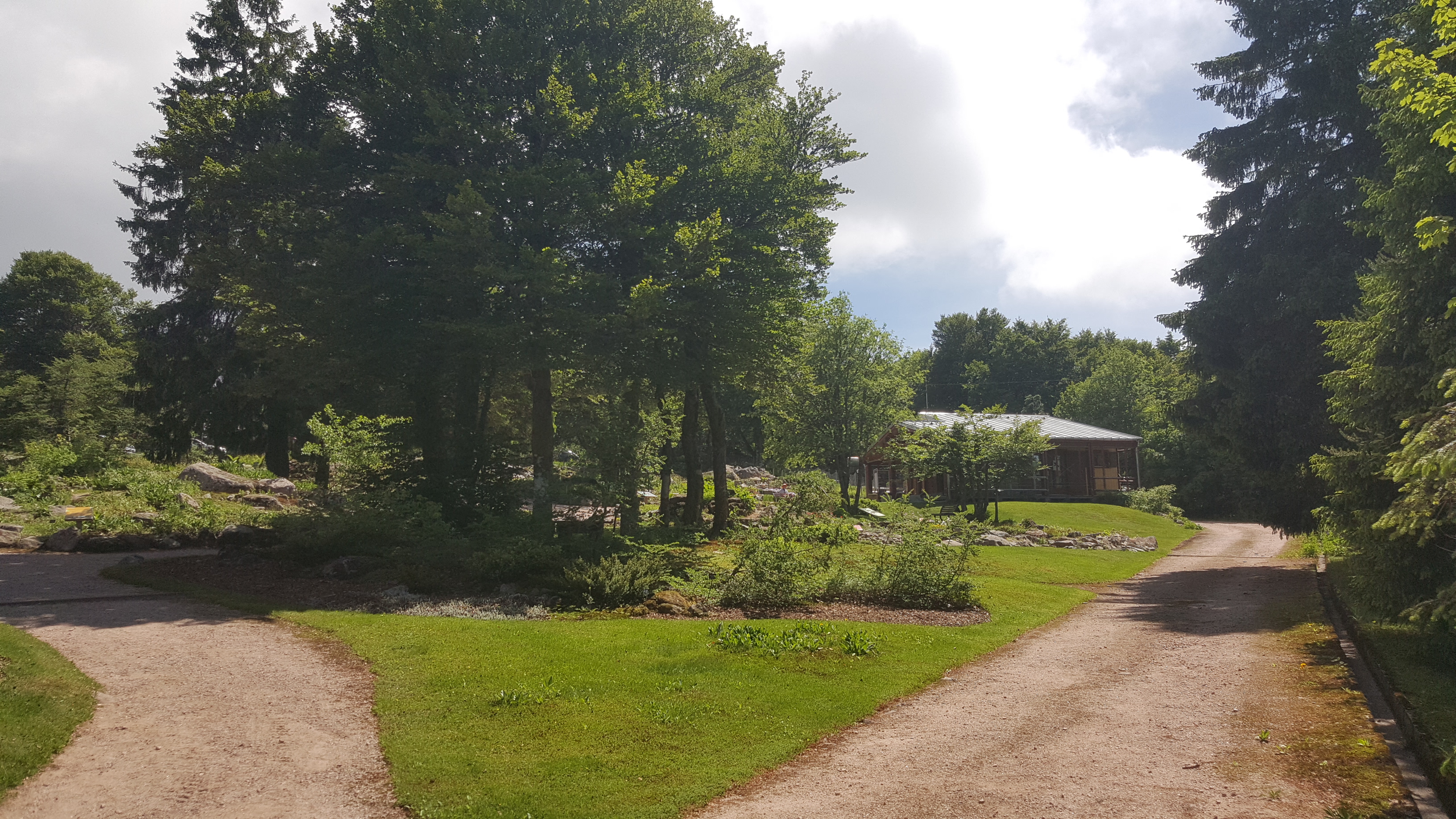 Photo n° 39 de l'avis de Jean-Sébastien.O fait le 23/06/2019 à 16:49