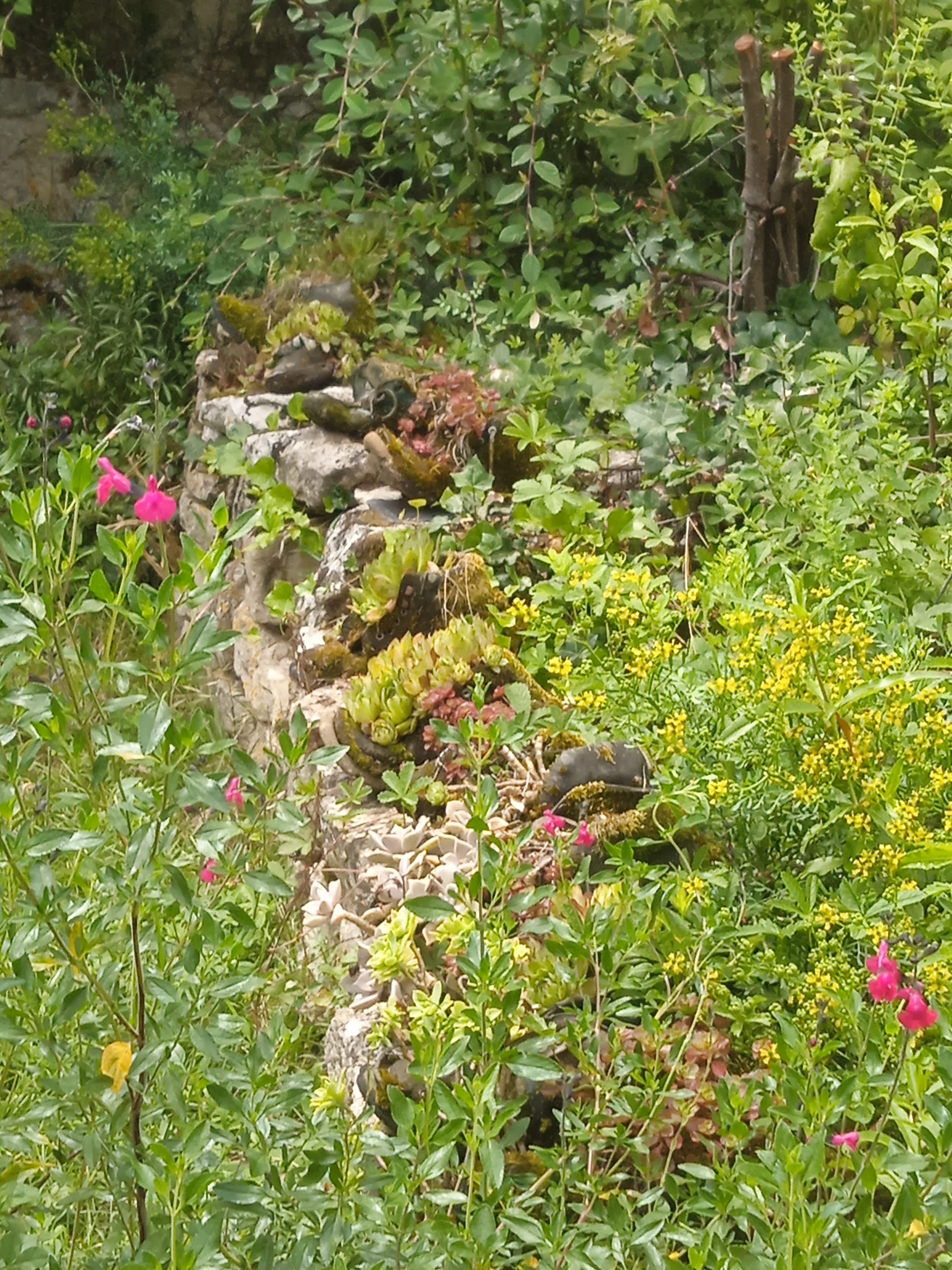 Photo n° 2 de l'avis de Pariente.v fait le 30/06/2023 à 14:55