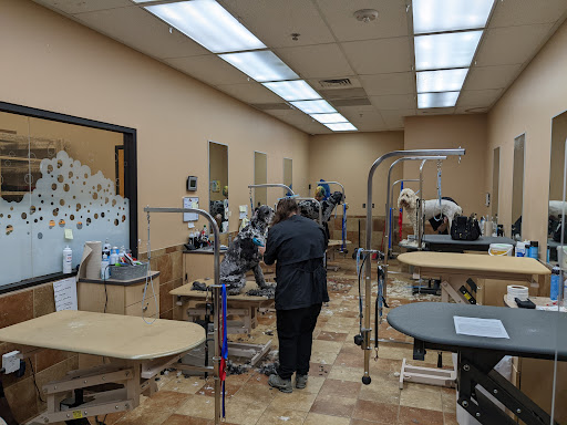 Pet Supply Store «PetSmart», reviews and photos, 100 108th Ave NE, Bellevue, WA 98004, USA